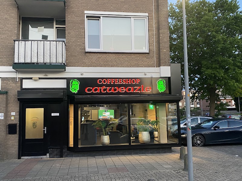 Coffeeshop Catweazle in Tiel
