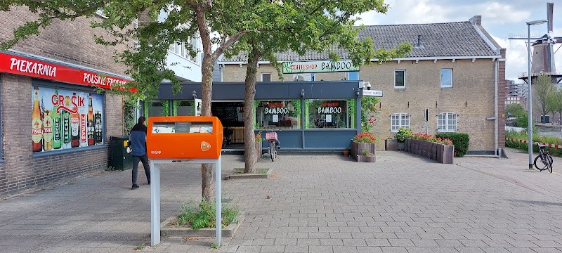 Coffeeshop bamboo in Schiedam