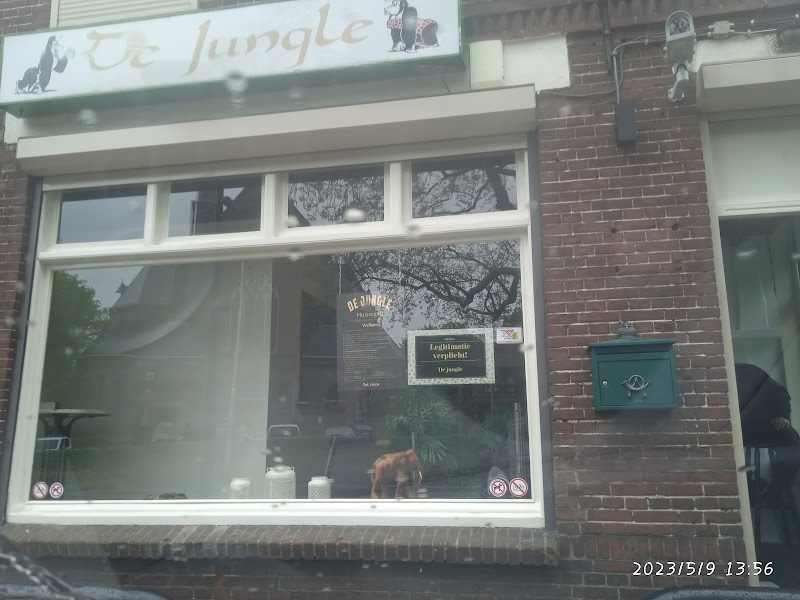Coffeeshop De Jungle in Oss