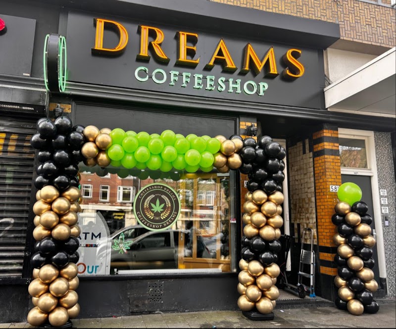 Coffeeshop Dreams in Rotterdam