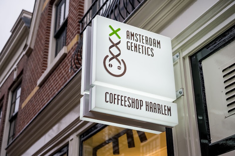 Coffeeshop Haarlem in Haarlem
