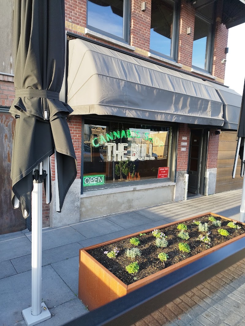 Coffeeshop The Bull in Vlaardingen
