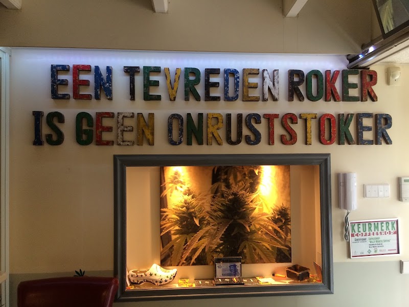 Coffeeshop Willie Wortel Sativa in Haarlem